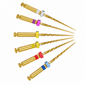 Dentsply Protaper Gold Rotary Files